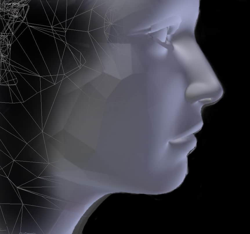 a gray low poly face on a black background disappearing into a wireframe.