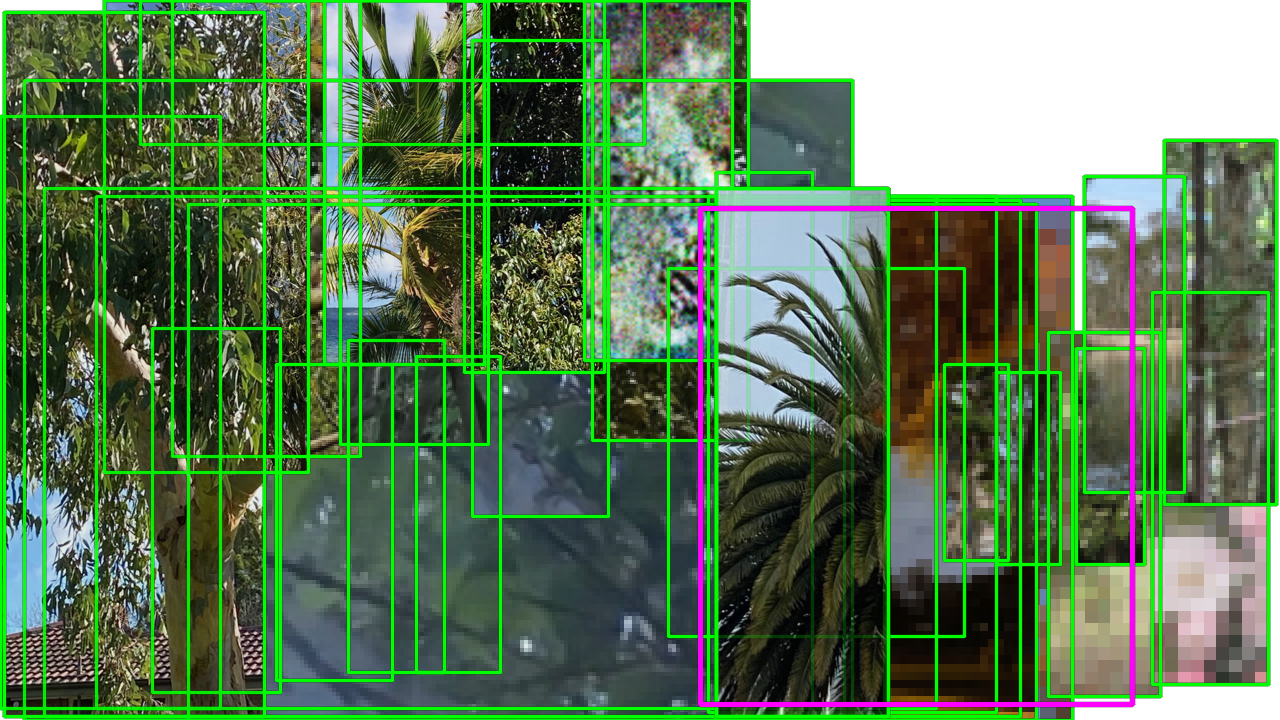 A collection of chaotic rectangles filled in with nature photographs