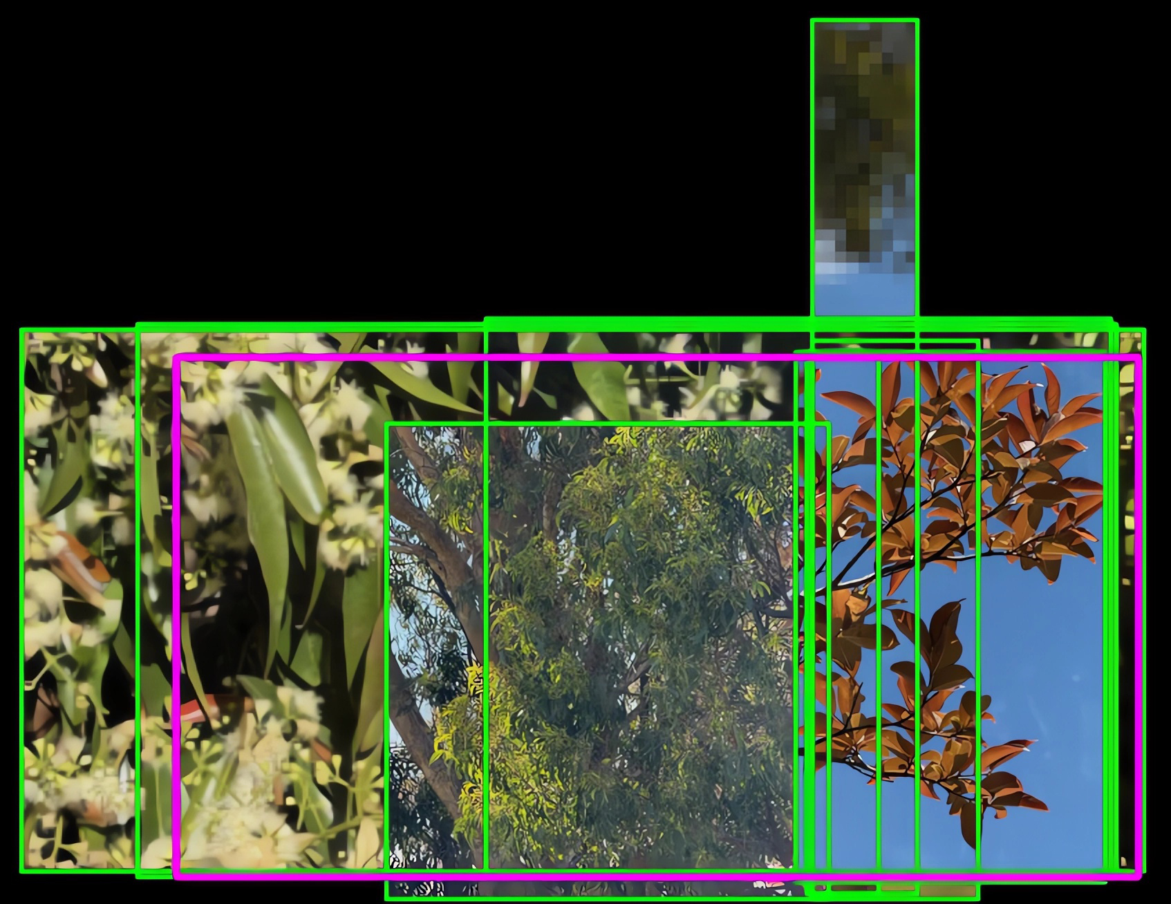 an assemblage of neon green boxes on a black background with images inside them. the images towards the back are pixelated. There is one purple rectangle in the front showing where the person is.