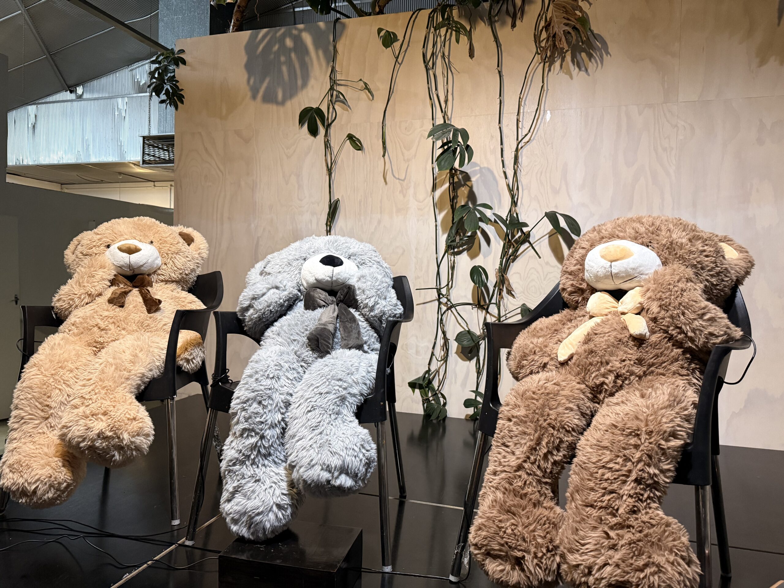 Teddy Bears Picnic